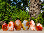 Polished Carnelian Agate Gemstone Standing Display Pieces x 6 From Madagascar - Toprock Gemstones and Minerals 