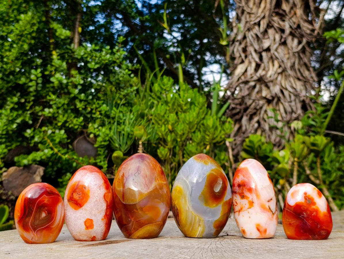 Polished Carnelian Agate Gemstone Standing Display Pieces x 6 From Madagascar - Toprock Gemstones and Minerals 