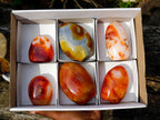 Polished Carnelian Agate Gemstone Standing Display Pieces x 6 From Madagascar - Toprock Gemstones and Minerals 