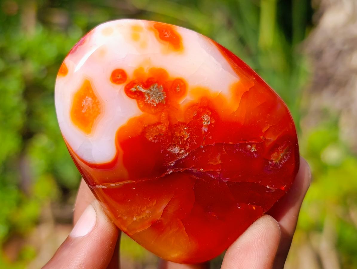 Polished Carnelian Agate Gemstone Standing Display Pieces x 6 From Madagascar - Toprock Gemstones and Minerals 