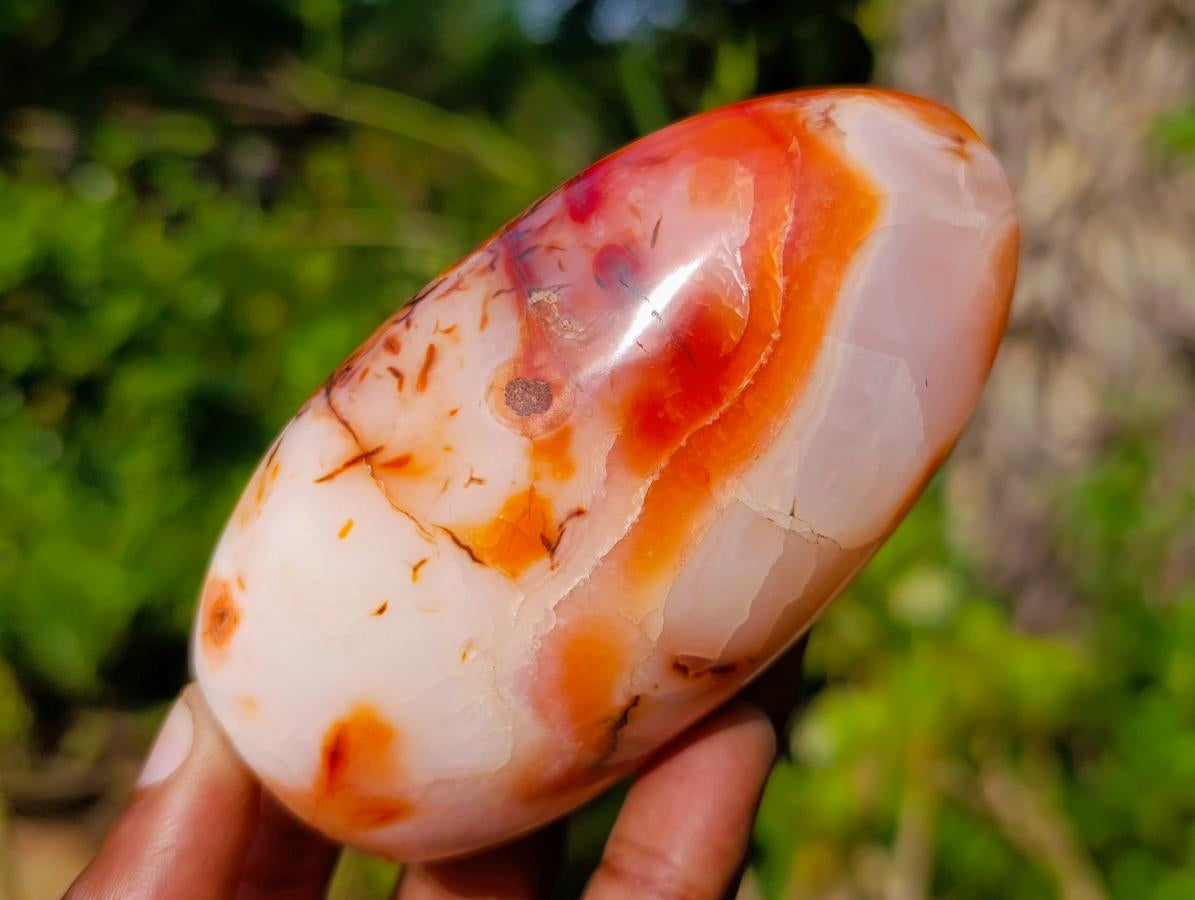 Polished Carnelian Agate Gemstone Standing Display Pieces x 6 From Madagascar - Toprock Gemstones and Minerals 