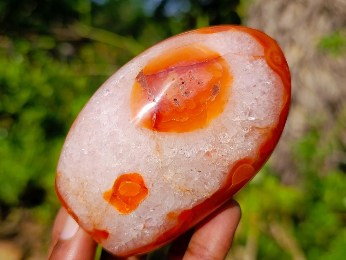 Polished Carnelian Agate Gemstone Standing Display Pieces x 6 From Madagascar - Toprock Gemstones and Minerals 