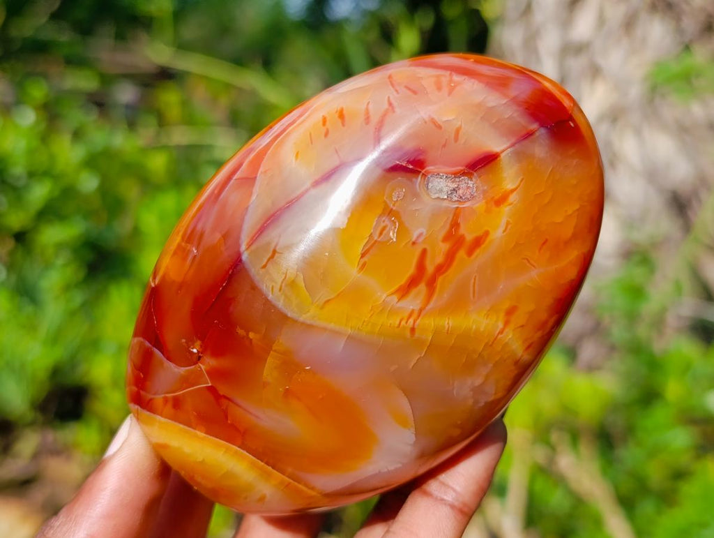 Polished Carnelian Agate Gemstone Standing Display Pieces x 6 From Madagascar - Toprock Gemstones and Minerals 