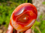 Polished Carnelian Agate Gemstone Standing Display Pieces x 6 From Madagascar - Toprock Gemstones and Minerals 