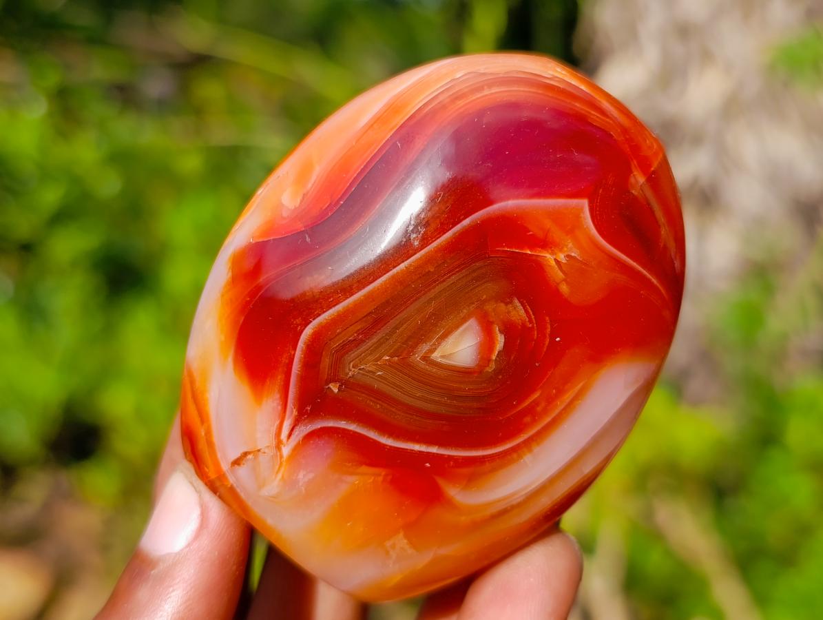 Polished Carnelian Agate Gemstone Standing Display Pieces x 6 From Madagascar - Toprock Gemstones and Minerals 
