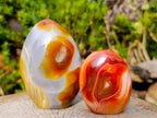 Polished Carnelian Agate Gemstone Standing Display Pieces x 6 From Madagascar - Toprock Gemstones and Minerals 