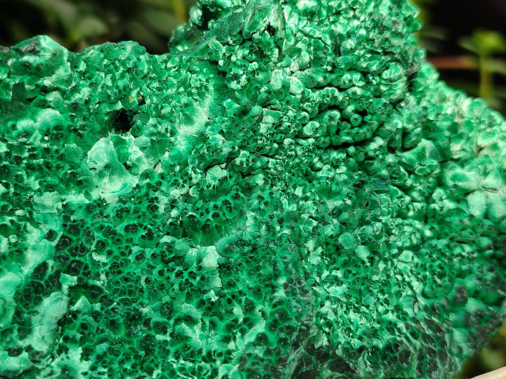 Natural Large Silky Malachite Specimen x 1 From Kasompe, Congo - Toprock Gemstones and Minerals 