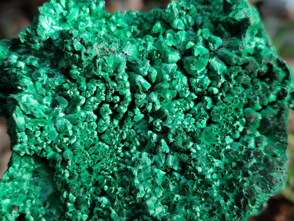 Natural Large Silky Malachite Specimen x 1 From Kasompe, Congo - Toprock Gemstones and Minerals 