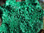 Natural Large Silky Malachite Specimen x 1 From Kasompe, Congo - Toprock Gemstones and Minerals 
