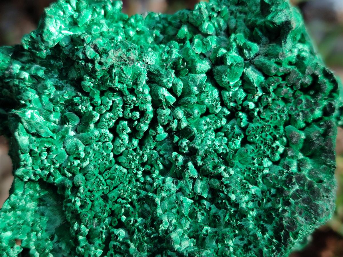 Natural Large Silky Malachite Specimen x 1 From Kasompe, Congo - Toprock Gemstones and Minerals 
