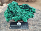 Natural Large Silky Malachite Specimen x 1 From Kasompe, Congo - Toprock Gemstones and Minerals 