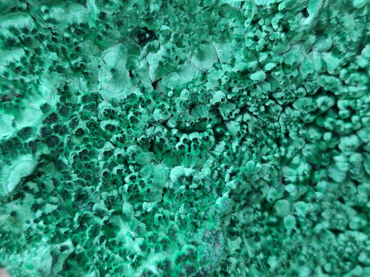 Natural Large Silky Malachite Specimen x 1 From Kasompe, Congo - Toprock Gemstones and Minerals 