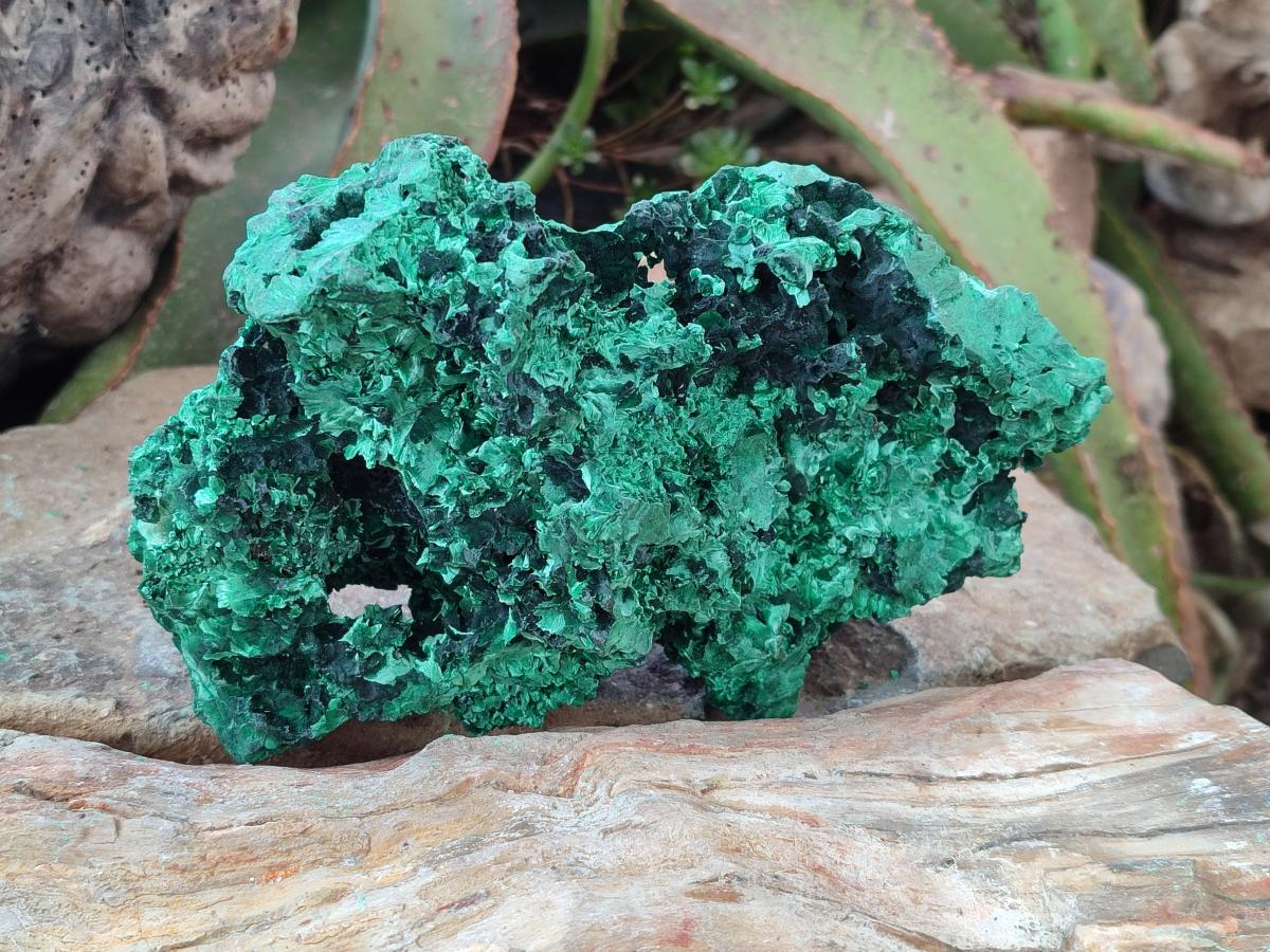 Natural Large Silky Malachite Specimen x 1 From Kasompe, Congo - Toprock Gemstones and Minerals 