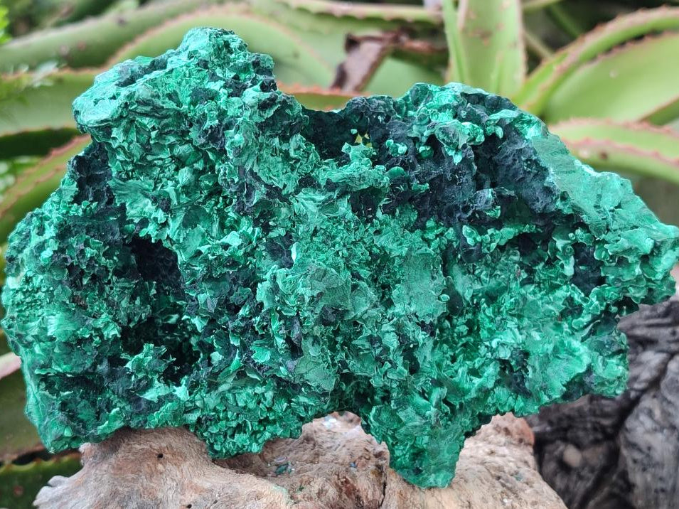 Natural Large Silky Malachite Specimen x 1 From Kasompe, Congo - Toprock Gemstones and Minerals 