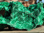 Natural Large Silky Malachite Specimen x 1 From Kasompe, Congo - Toprock Gemstones and Minerals 