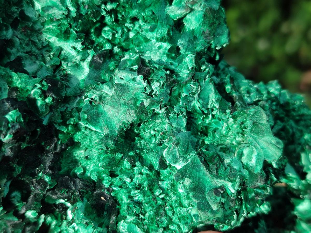 Natural Large Silky Malachite Specimen x 1 From Kasompe, Congo - Toprock Gemstones and Minerals 