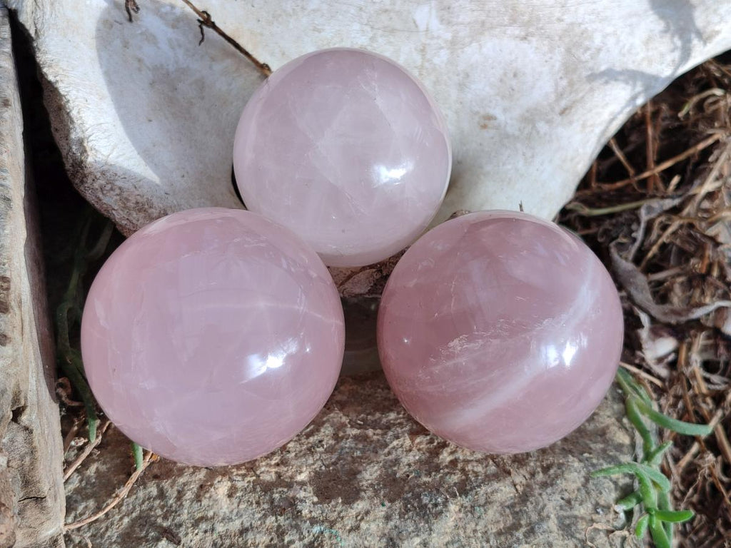 Polished Gemmy Star Rose Quartz Spheres x 3 From Madagascar - Toprock Gemstones and Minerals 