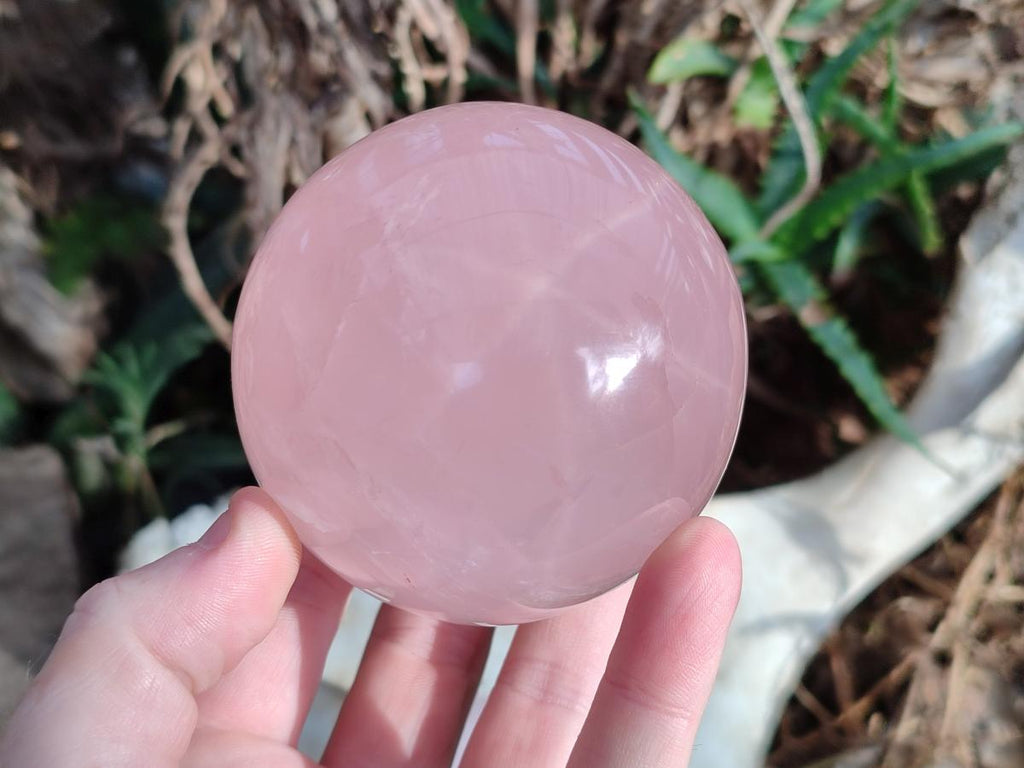 Polished Gemmy Star Rose Quartz Spheres x 3 From Madagascar - Toprock Gemstones and Minerals 