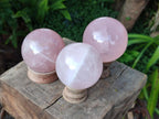 Polished Gemmy Star Rose Quartz Spheres x 3 From Madagascar - Toprock Gemstones and Minerals 