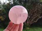 Polished Gemmy Star Rose Quartz Spheres x 3 From Madagascar - Toprock Gemstones and Minerals 