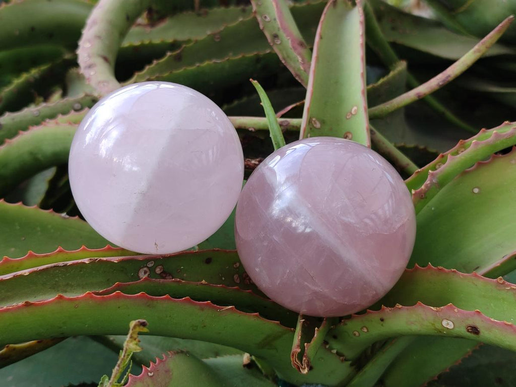 Polished Gemmy Star Rose Quartz Spheres x 3 From Madagascar - Toprock Gemstones and Minerals 