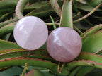 Polished Gemmy Star Rose Quartz Spheres x 3 From Madagascar - Toprock Gemstones and Minerals 