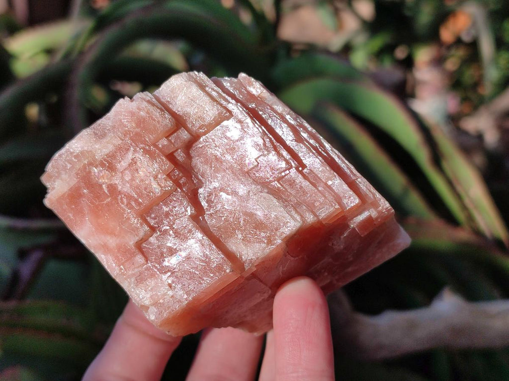 Natural Rhombohedral Sunset Orange Calcite Specimens x 6 From Spitzkop, Namibia - Toprock Gemstones and Minerals 