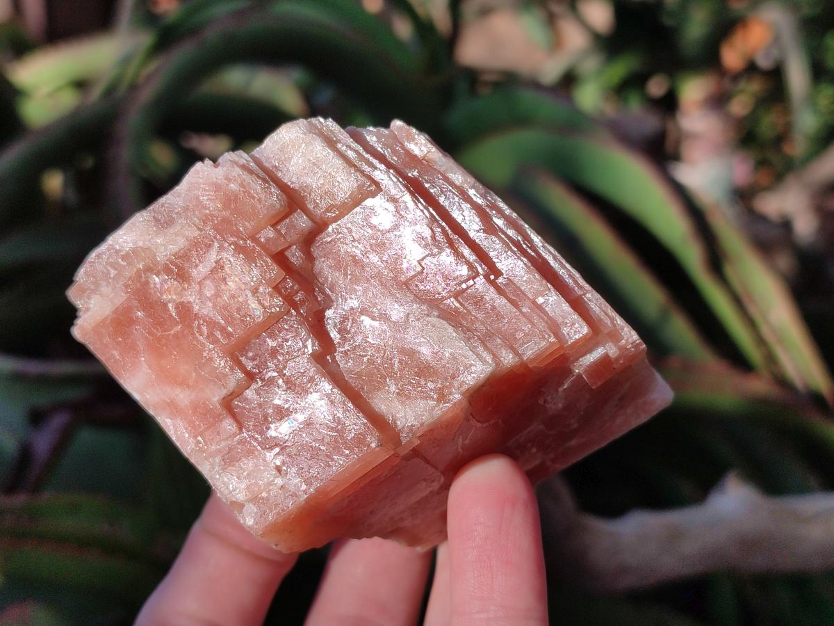 Natural Rhombohedral Sunset Orange Calcite Specimens x 6 From Spitzkop, Namibia - Toprock Gemstones and Minerals 