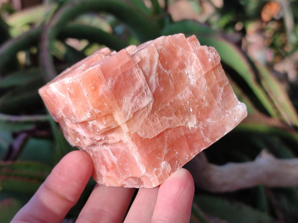 Natural Rhombohedral Sunset Orange Calcite Specimens x 6 From Spitzkop, Namibia - Toprock Gemstones and Minerals 