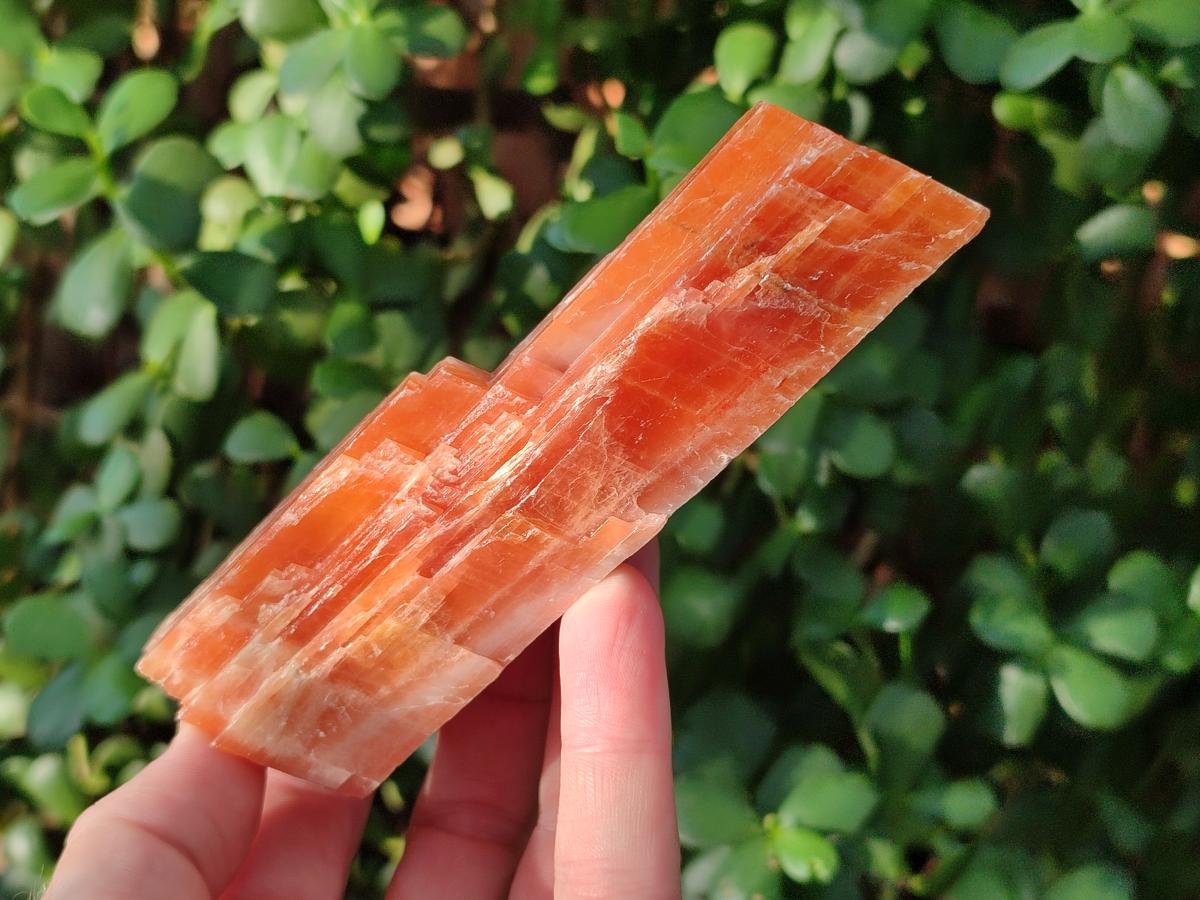 Natural Rhombohedral Sunset Orange Calcite Specimens x 6 From Spitzkop, Namibia - Toprock Gemstones and Minerals 