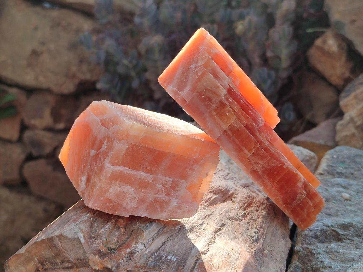 Natural Rhombohedral Sunset Orange Calcite Specimens x 6 From Spitzkop, Namibia - Toprock Gemstones and Minerals 