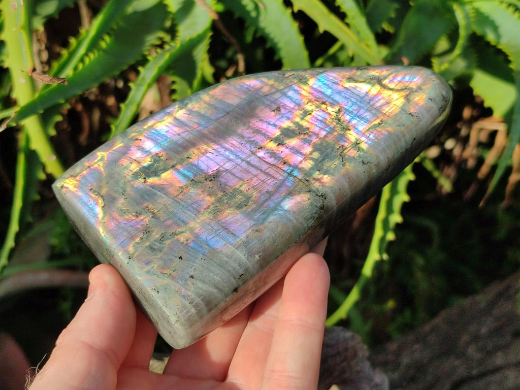 Polished Rare Purple Sunset Flash Labradorite Standing Display Pieces x 3 From Madagascar - Toprock Gemstones and Minerals 