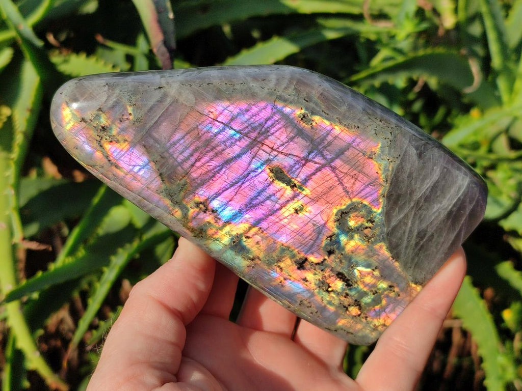 Polished Rare Purple Sunset Flash Labradorite Standing Display Pieces x 3 From Madagascar - Toprock Gemstones and Minerals 