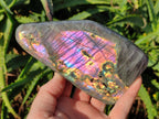 Polished Rare Purple Sunset Flash Labradorite Standing Display Pieces x 3 From Madagascar - Toprock Gemstones and Minerals 