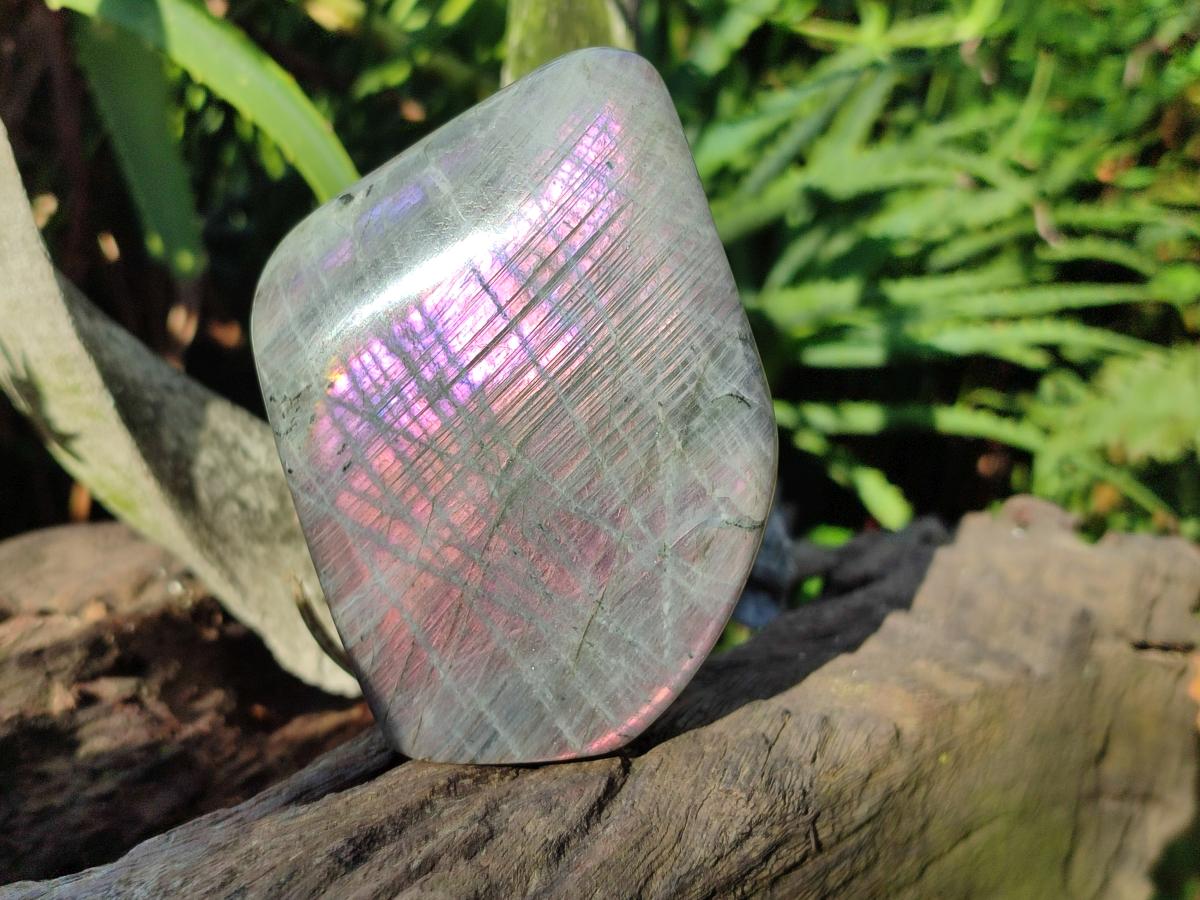 Polished Rare Purple Sunset Flash Labradorite Standing Display Pieces x 3 From Madagascar - Toprock Gemstones and Minerals 