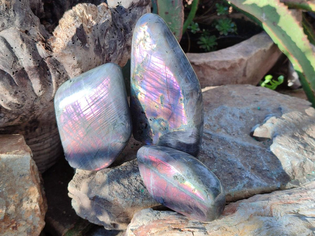 Polished Rare Purple Sunset Flash Labradorite Standing Display Pieces x 3 From Madagascar - Toprock Gemstones and Minerals 