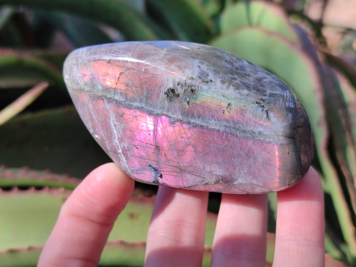 Polished Rare Purple Sunset Flash Labradorite Standing Display Pieces x 3 From Madagascar - Toprock Gemstones and Minerals 