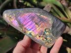 Polished Rare Purple Sunset Flash Labradorite Standing Display Pieces x 3 From Madagascar - Toprock Gemstones and Minerals 