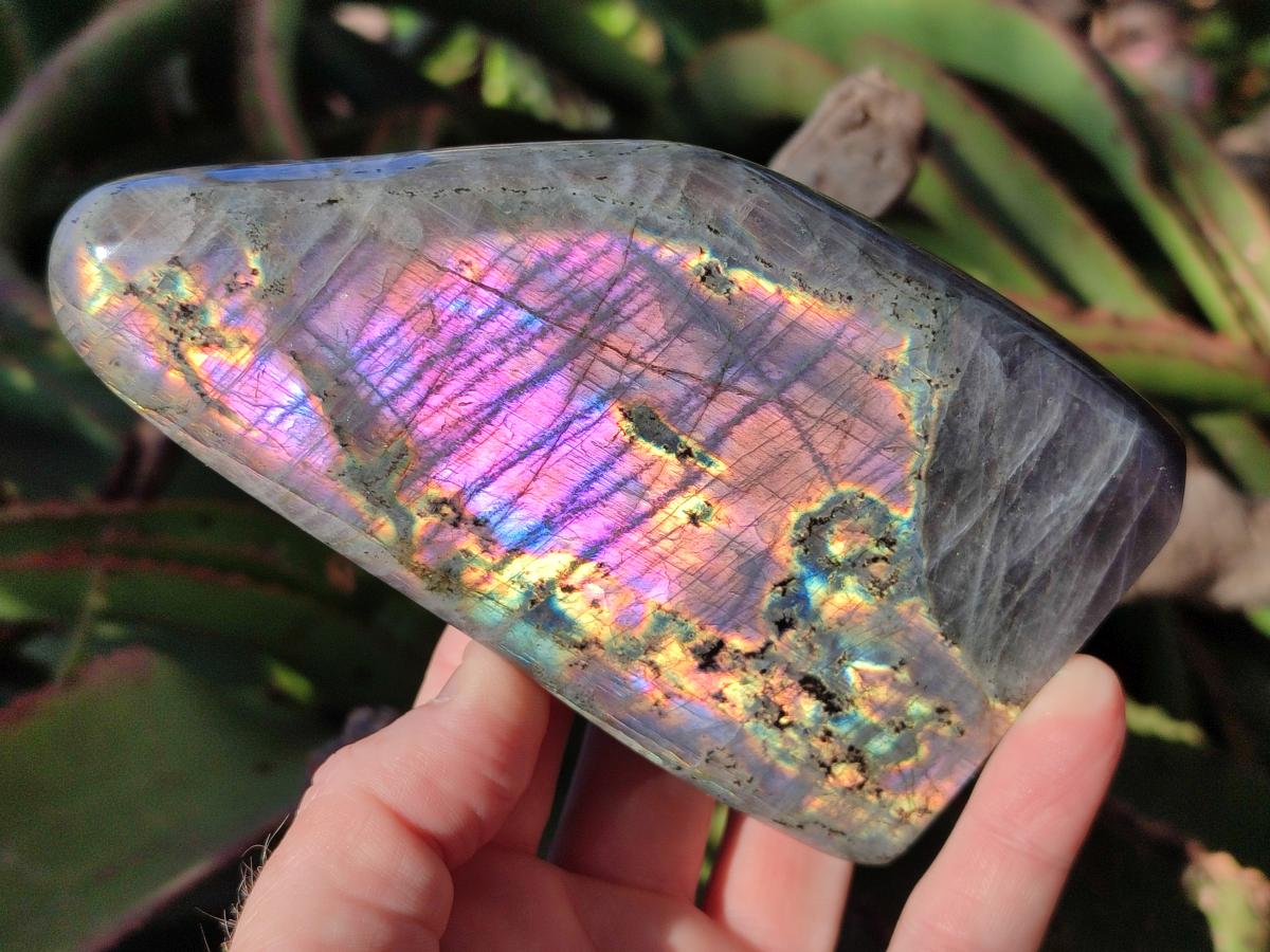 Polished Rare Purple Sunset Flash Labradorite Standing Display Pieces x 3 From Madagascar - Toprock Gemstones and Minerals 