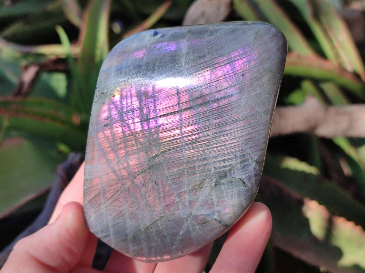 Polished Rare Purple Sunset Flash Labradorite Standing Display Pieces x 3 From Madagascar - Toprock Gemstones and Minerals 