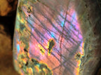 Polished Rare Purple Sunset Flash Labradorite Standing Display Pieces x 3 From Madagascar - Toprock Gemstones and Minerals 