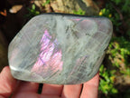 Polished Rare Purple Sunset Flash Labradorite Standing Display Pieces x 3 From Madagascar - Toprock Gemstones and Minerals 