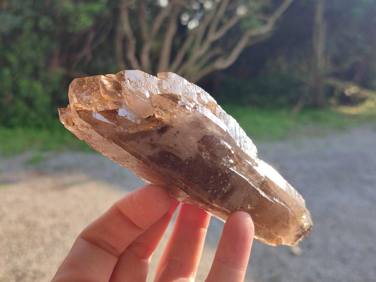 Natural Smokey Quartz Crystals x 5 From Malawi - Toprock Gemstones and Minerals 