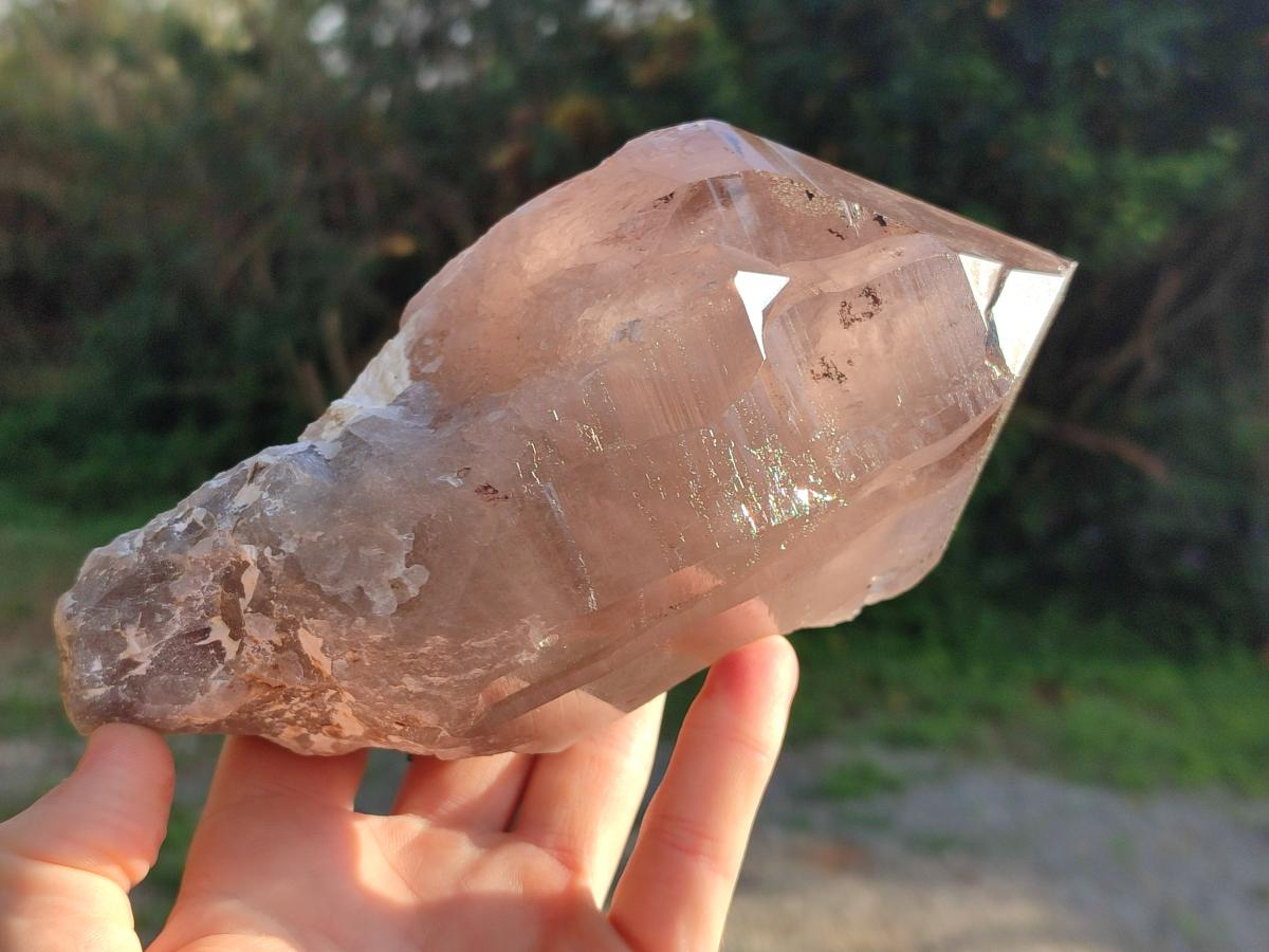 Natural Smokey Quartz Crystals x 5 From Malawi - Toprock Gemstones and Minerals 