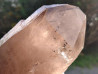 Natural Smokey Quartz Crystals x 5 From Malawi - Toprock Gemstones and Minerals 