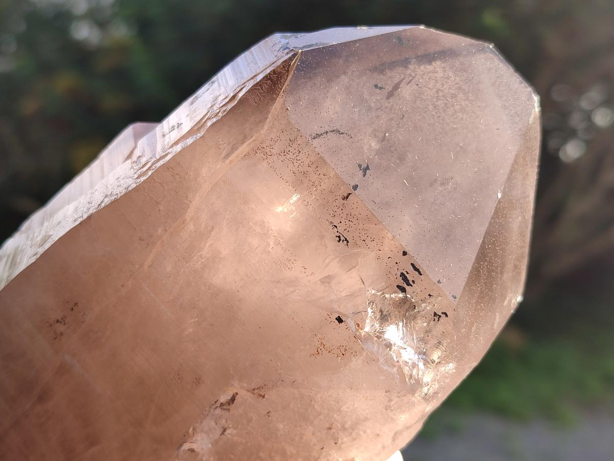 Natural Smokey Quartz Crystals x 5 From Malawi - Toprock Gemstones and Minerals 