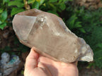 Natural Smokey Quartz Crystals x 5 From Malawi - Toprock Gemstones and Minerals 