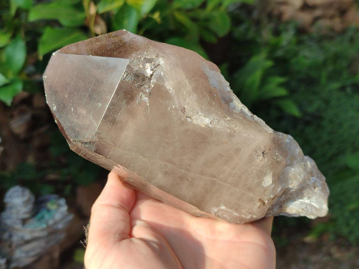 Natural Smokey Quartz Crystals x 5 From Malawi - Toprock Gemstones and Minerals 