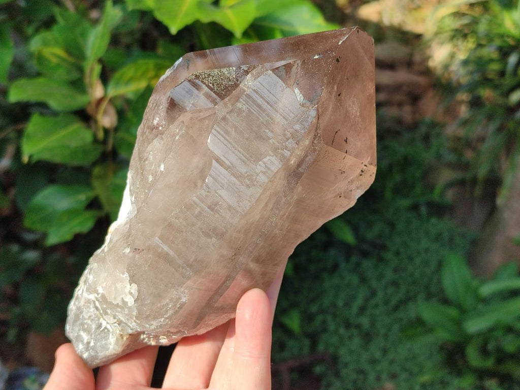 Natural Smokey Quartz Crystals x 5 From Malawi - Toprock Gemstones and Minerals 