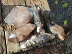 Natural Smokey Quartz Crystals x 5 From Malawi - Toprock Gemstones and Minerals 
